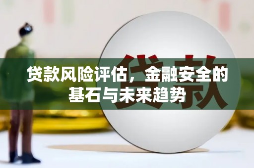 安仁贷款风险评估，金融安全的基石与未来趋势