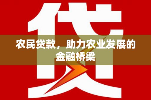 安仁农民贷款，助力农业发展的金融桥梁