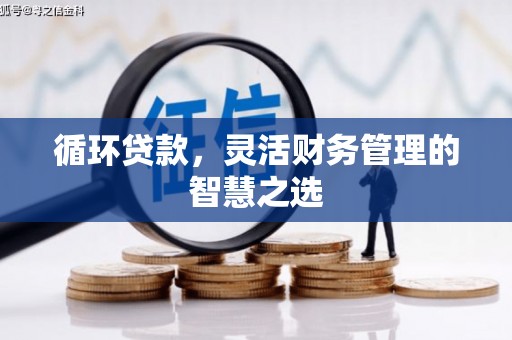 安仁循环贷款，灵活财务管理的智慧之选