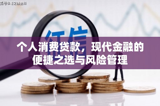 安仁个人消费贷款，现代金融的便捷之选与风险管理