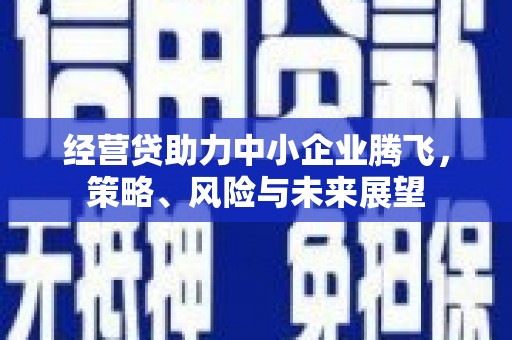 安仁经营贷助力中小企业腾飞，策略、风险与未来展望
