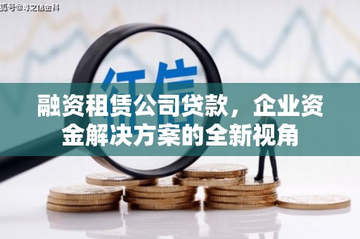 安仁融资租赁公司贷款，企业资金解决方案的全新视角