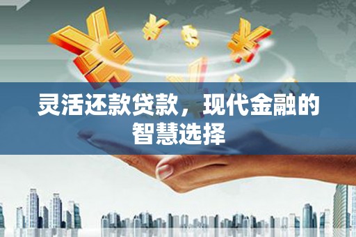 安仁灵活还款贷款，现代金融的智慧选择