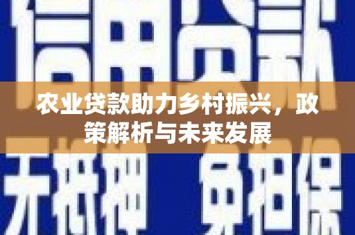安仁农业贷款助力乡村振兴，政策解析与未来发展
