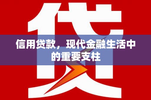 安仁信用贷款，现代金融生活中的重要支柱
