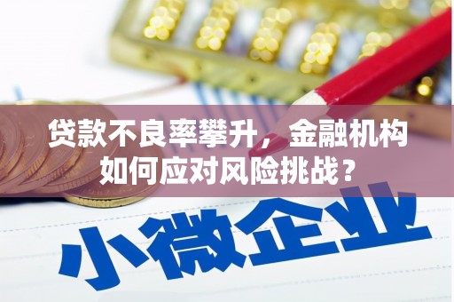 安仁贷款不良率攀升，金融机构如何应对风险挑战？