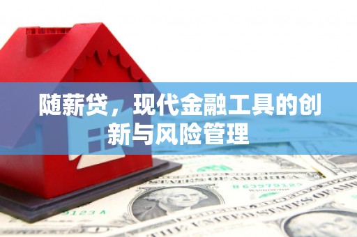 安仁随薪贷，现代金融工具的创新与风险管理