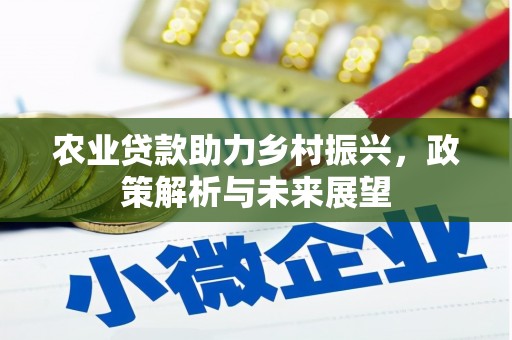 安仁农业贷款助力乡村振兴，政策解析与未来展望