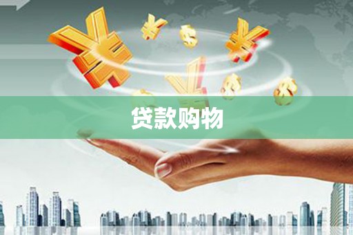 安仁贷款购物