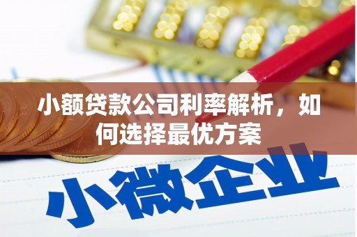 安仁小额贷款公司利率解析，如何选择最优方案