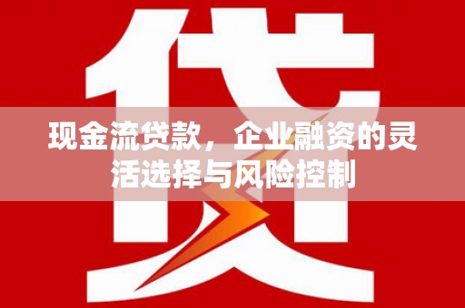 安仁现金流贷款，企业融资的灵活选择与风险控制