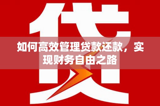 安仁如何高效管理贷款还款，实现财务自由之路