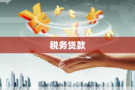 安仁税务贷款