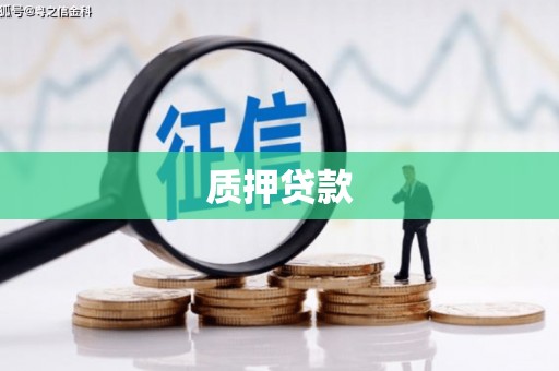 安仁质押贷款