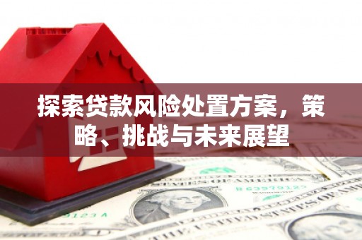 安仁探索贷款风险处置方案，策略、挑战与未来展望