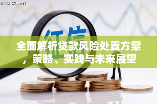 安仁全面解析贷款风险处置方案，策略、实践与未来展望