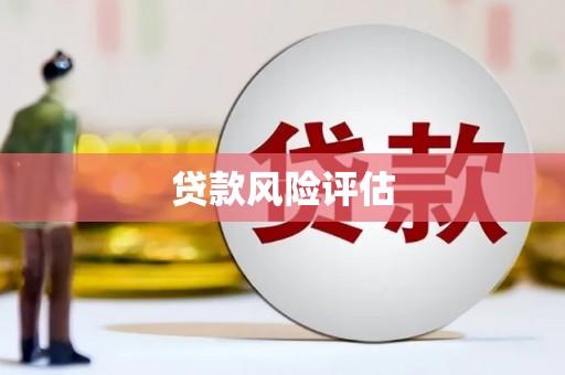 安仁贷款风险评估