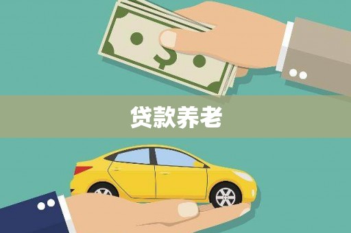 安仁贷款养老