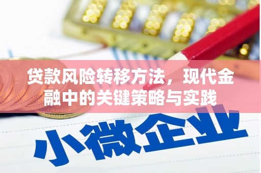 安仁贷款风险转移方法，现代金融中的关键策略与实践