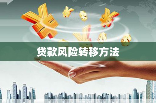 安仁贷款风险转移方法