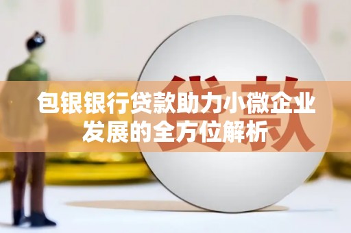 安仁包银银行贷款助力小微企业发展的全方位解析
