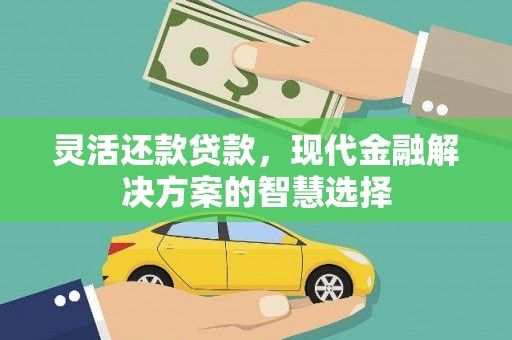 安仁灵活还款贷款，现代金融解决方案的智慧选择