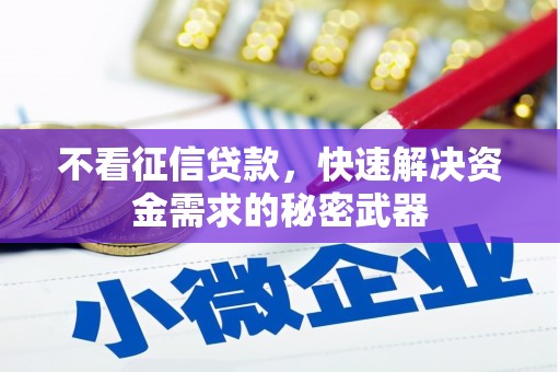 安仁不看征信贷款，快速解决资金需求的秘密武器