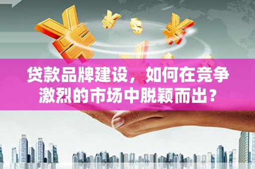 安仁贷款品牌建设，如何在竞争激烈的市场中脱颖而出？