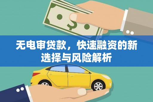 安仁无电审贷款，快速融资的新选择与风险解析