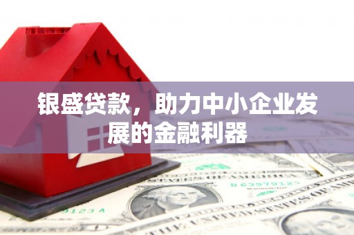 安仁银盛贷款，助力中小企业发展的金融利器