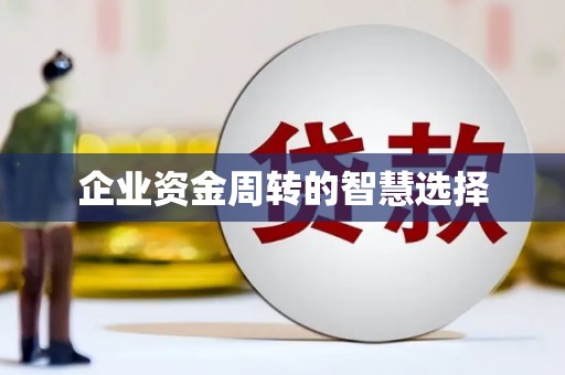 安仁企业资金周转的智慧选择