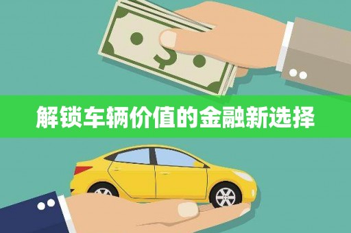 安仁解锁车辆价值的金融新选择