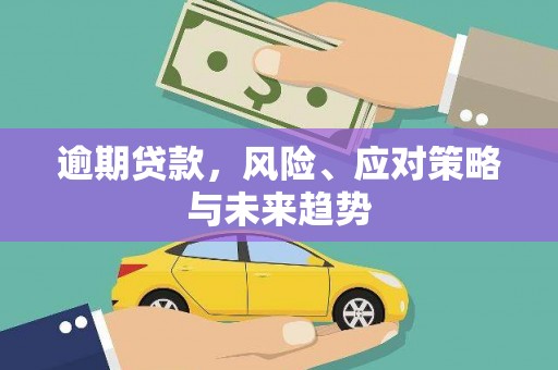 安仁逾期贷款，风险、应对策略与未来趋势