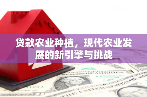 安仁贷款农业种植，现代农业发展的新引擎与挑战