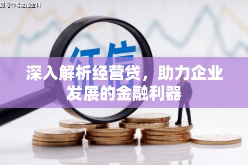 安仁深入解析经营贷，助力企业发展的金融利器