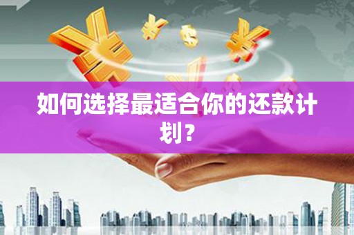 安仁如何选择最适合你的还款计划？