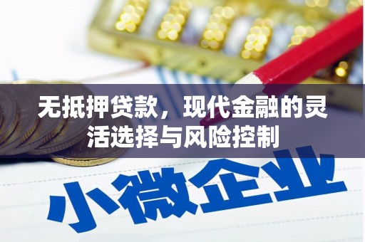 安仁无抵押贷款，现代金融的灵活选择与风险控制
