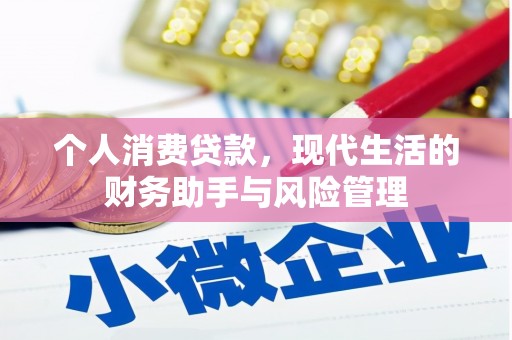 安仁个人消费贷款，现代生活的财务助手与风险管理