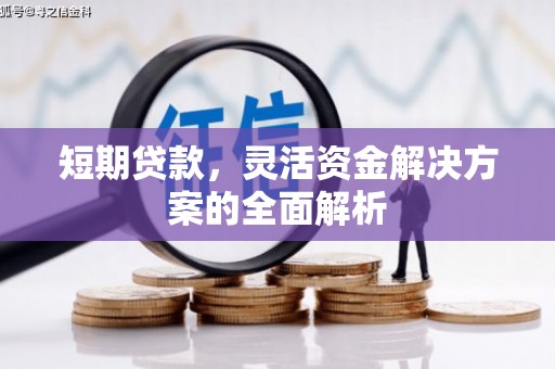 安仁短期贷款，灵活资金解决方案的全面解析
