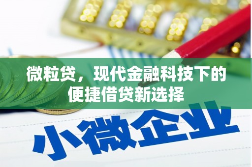 安仁微粒贷，现代金融科技下的便捷借贷新选择