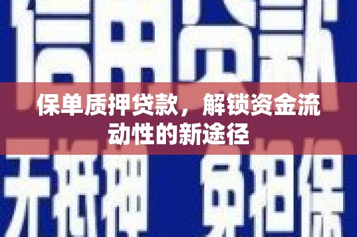安仁保单质押贷款，解锁资金流动性的新途径