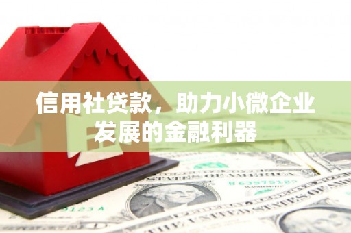 安仁信用社贷款，助力小微企业发展的金融利器