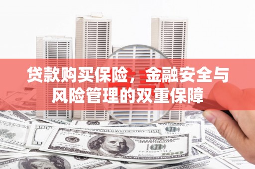 安仁贷款购买保险，金融安全与风险管理的双重保障