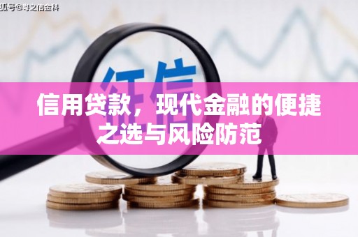 安仁信用贷款，现代金融的便捷之选与风险防范