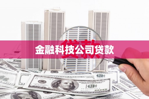 安仁金融科技公司贷款