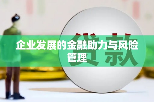 安仁企业发展的金融助力与风险管理