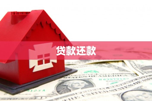 安仁贷款还款