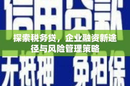 安仁探索税务贷，企业融资新途径与风险管理策略