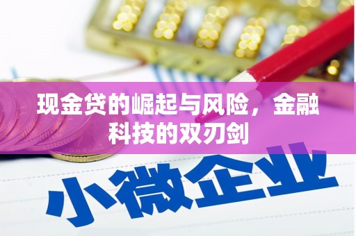 安仁现金贷的崛起与风险，金融科技的双刃剑