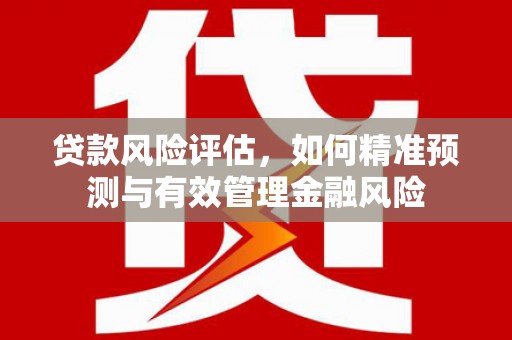 安仁贷款风险评估，如何精准预测与有效管理金融风险
